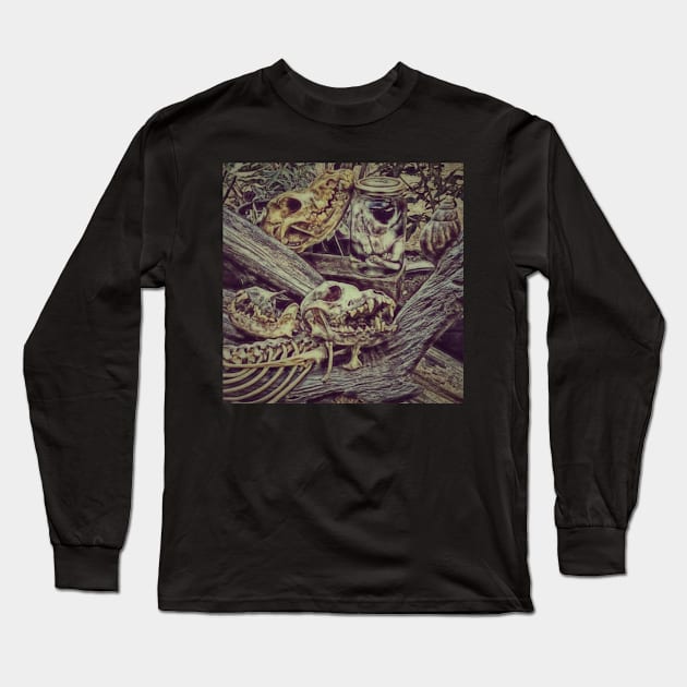 ART XVI Long Sleeve T-Shirt by Zandonai